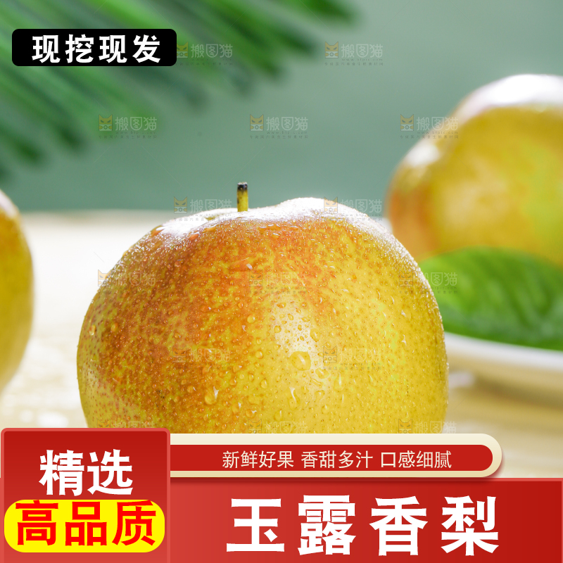 深底上的玉露香梨