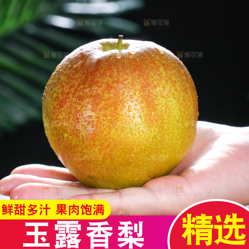 深底上的玉露香梨