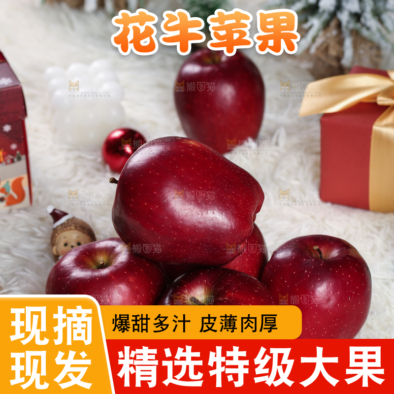 浅底上的圣诞果