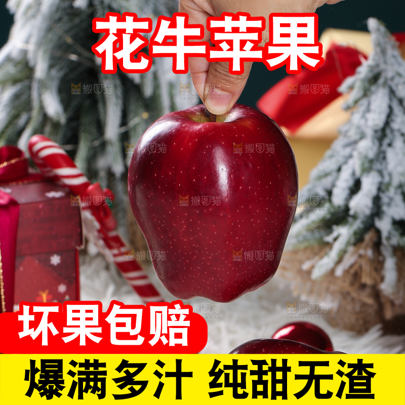 浅底上的圣诞果