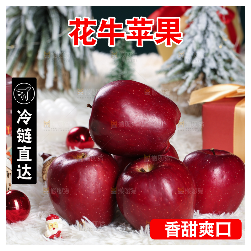 浅底上的圣诞果