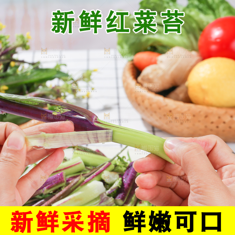 浅底上的红菜苔