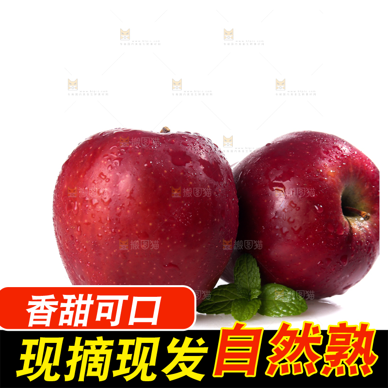 白底上的圣诞果