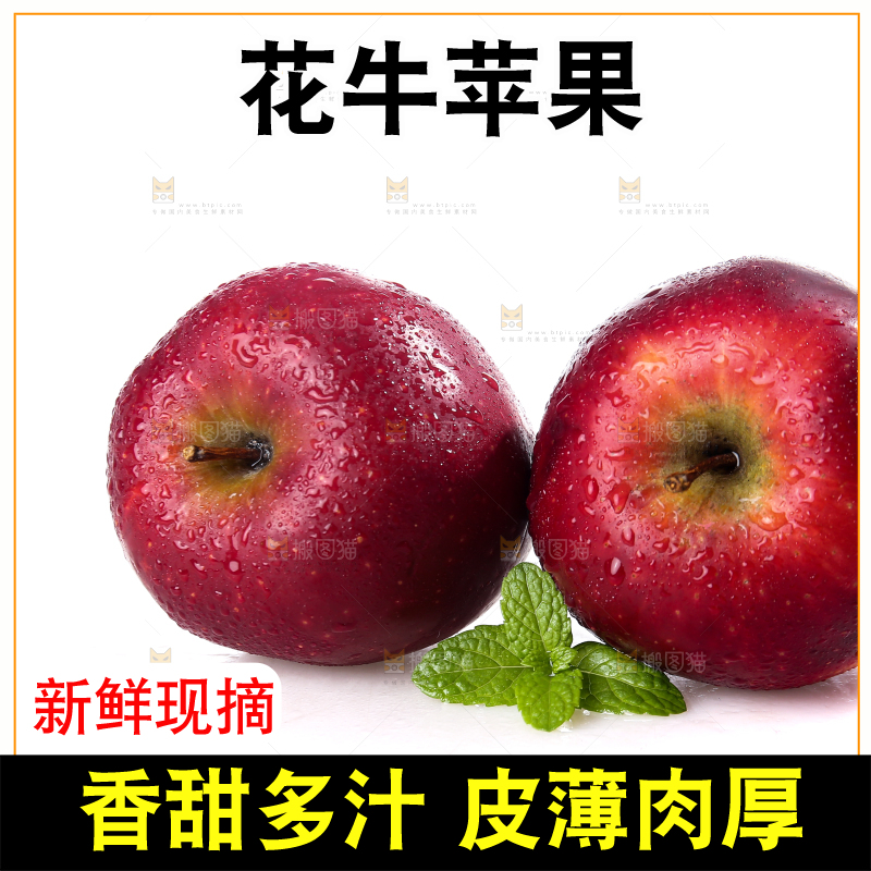 白底上的圣诞果