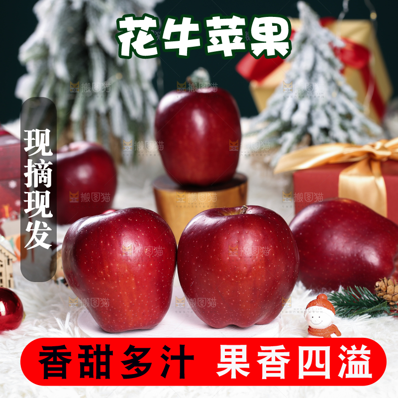 浅底上的圣诞果