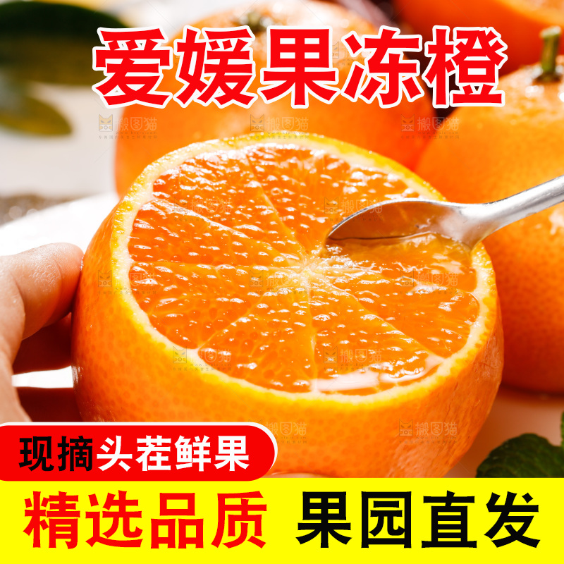 浅底上的爱媛果冻橙