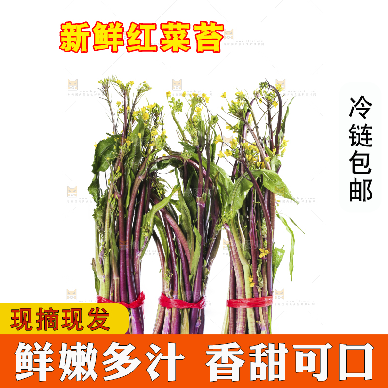 白底上的红菜苔
