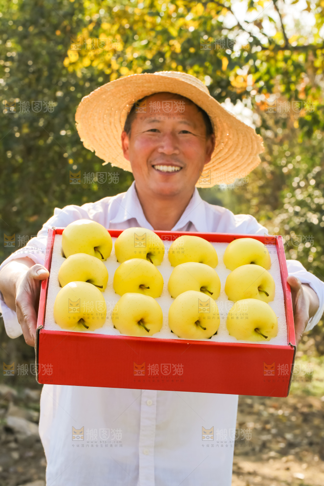 手里拿着黄元帅苹果