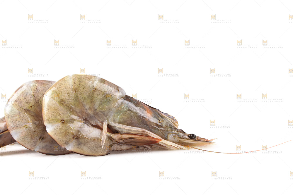白底上的大虾