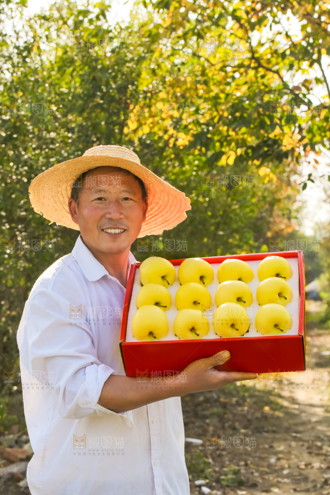手里拿着黄元帅苹果