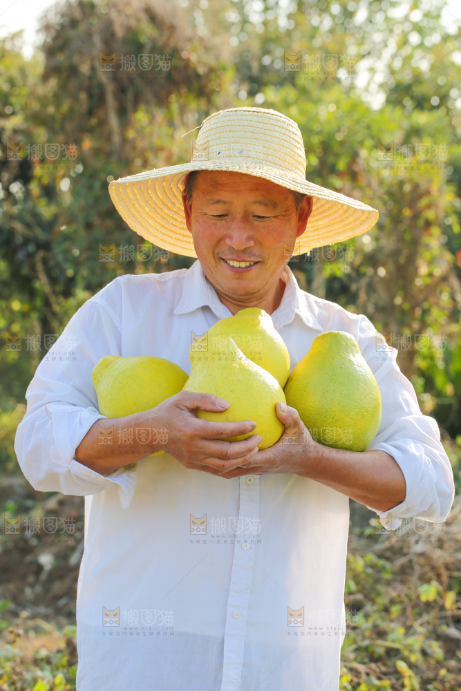 手里拿着沙田柚
