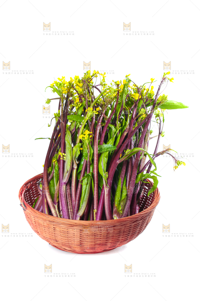 白底上的红菜苔