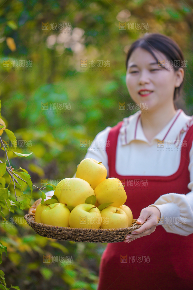 手里拿着黄元帅苹果