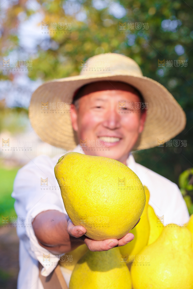 手里拿着沙田柚