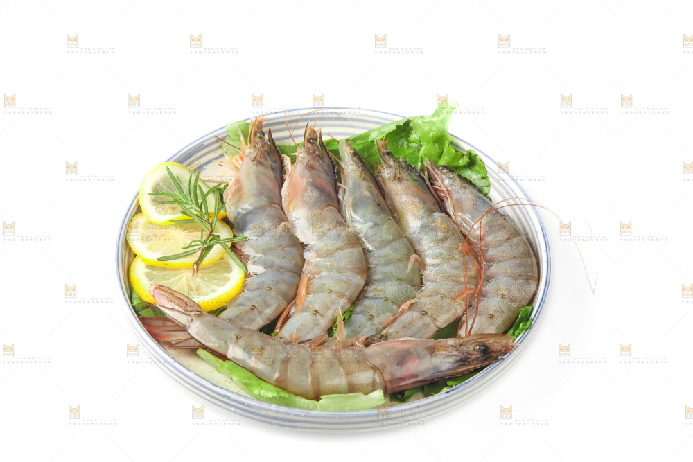 白底上的大虾