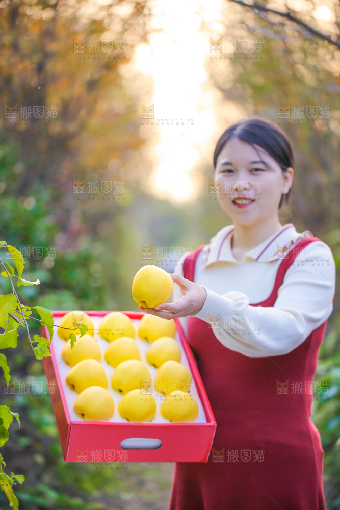 手里拿着黄元帅苹果