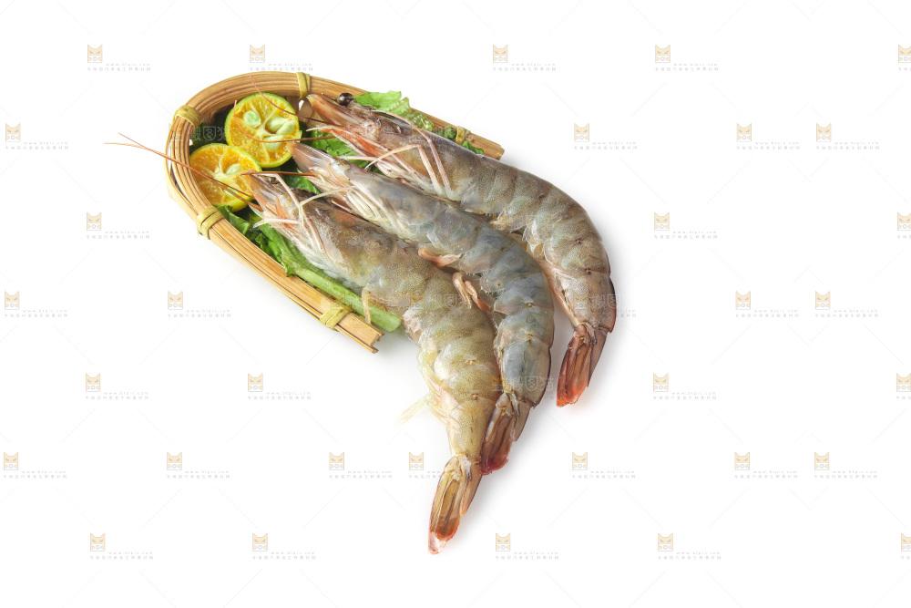 白底上的大虾