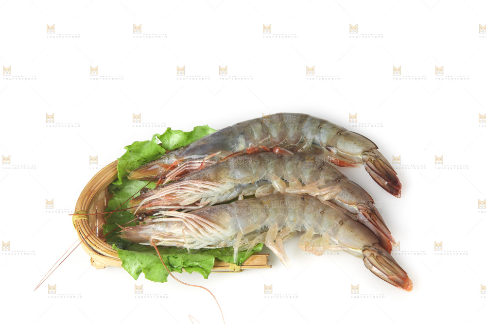 白底上的大虾