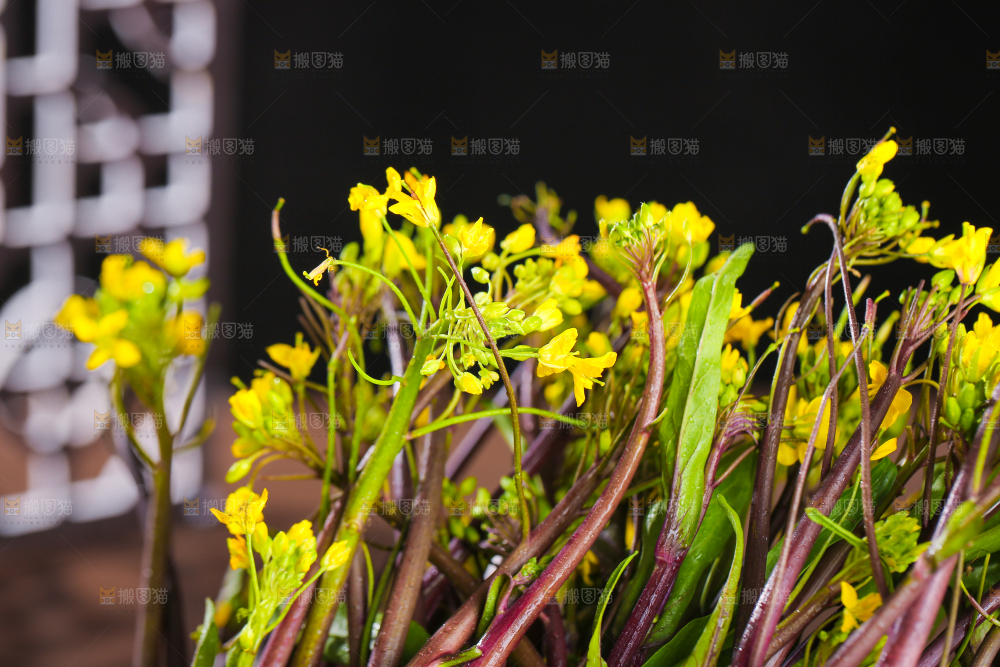 深底上的红菜苔