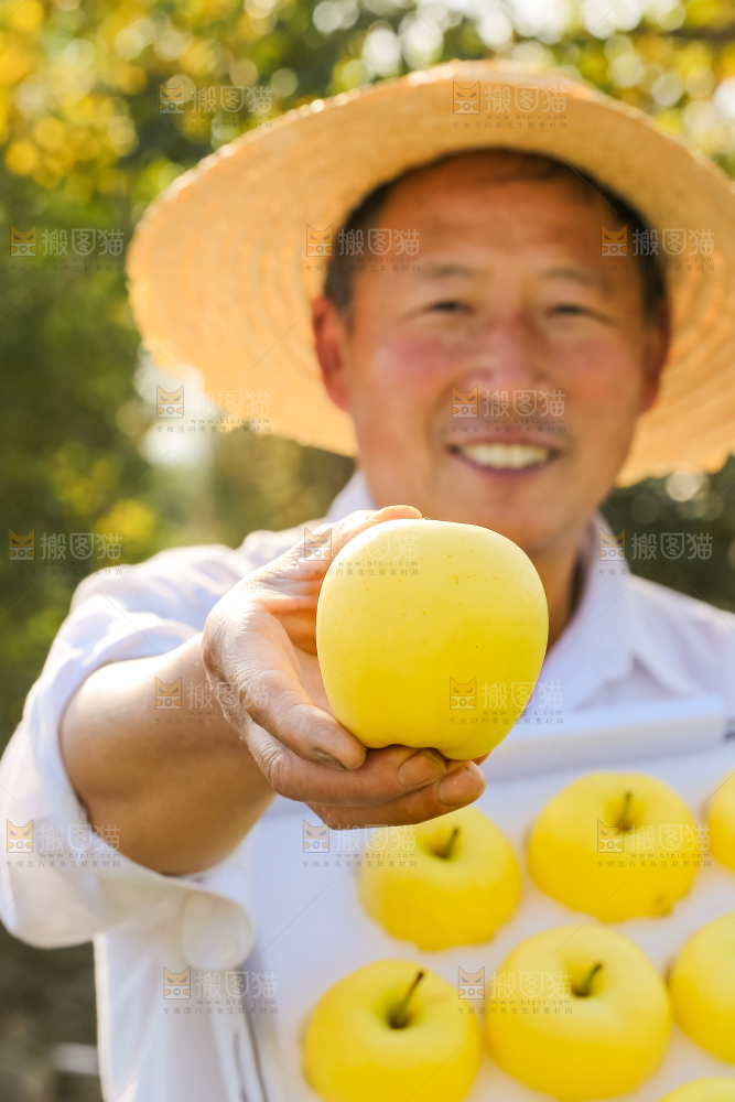 手里拿着黄元帅苹果