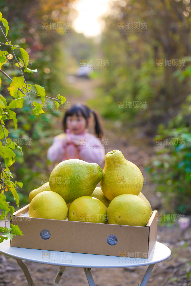 手里拿着沙田柚
