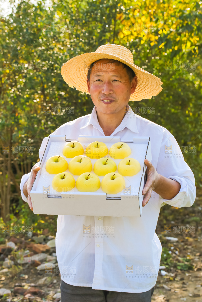 手里拿着黄元帅苹果