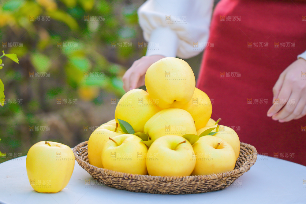 手里拿着黄元帅苹果