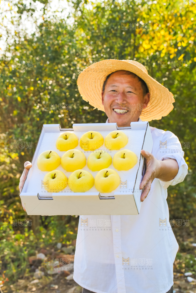 手里拿着黄元帅苹果