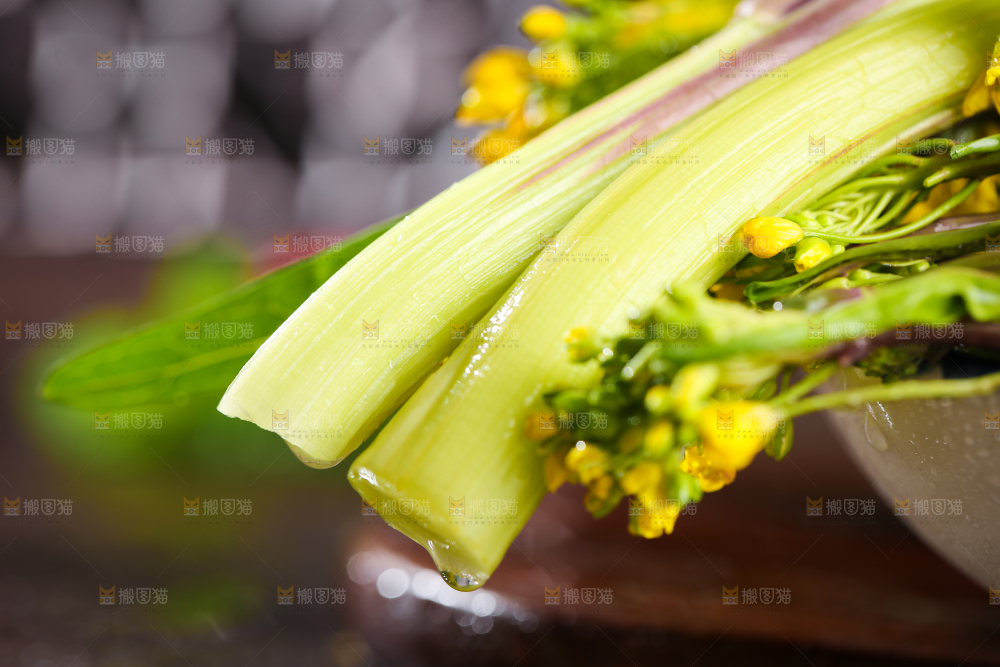 深底上的红菜苔