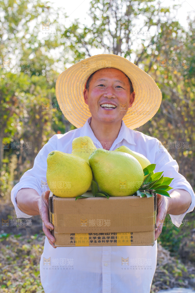 手里拿着沙田柚