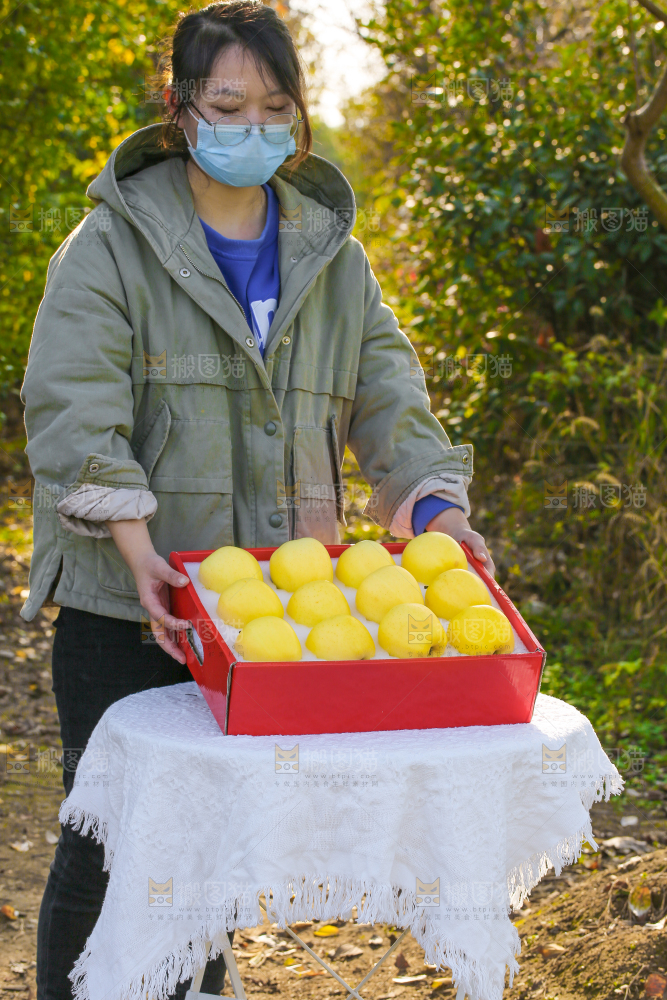 手里拿着黄元帅苹果