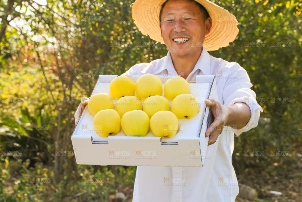 手里拿着黄元帅苹果