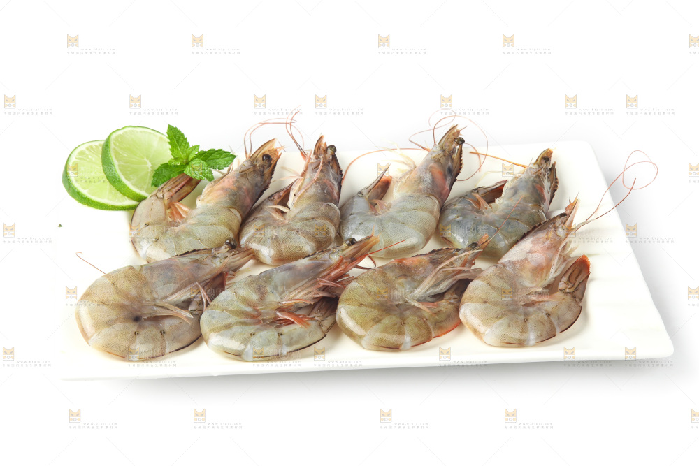 白底上的大虾