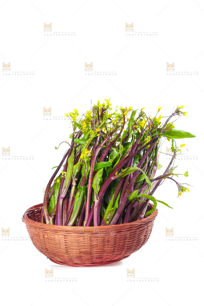 白底上的红菜苔