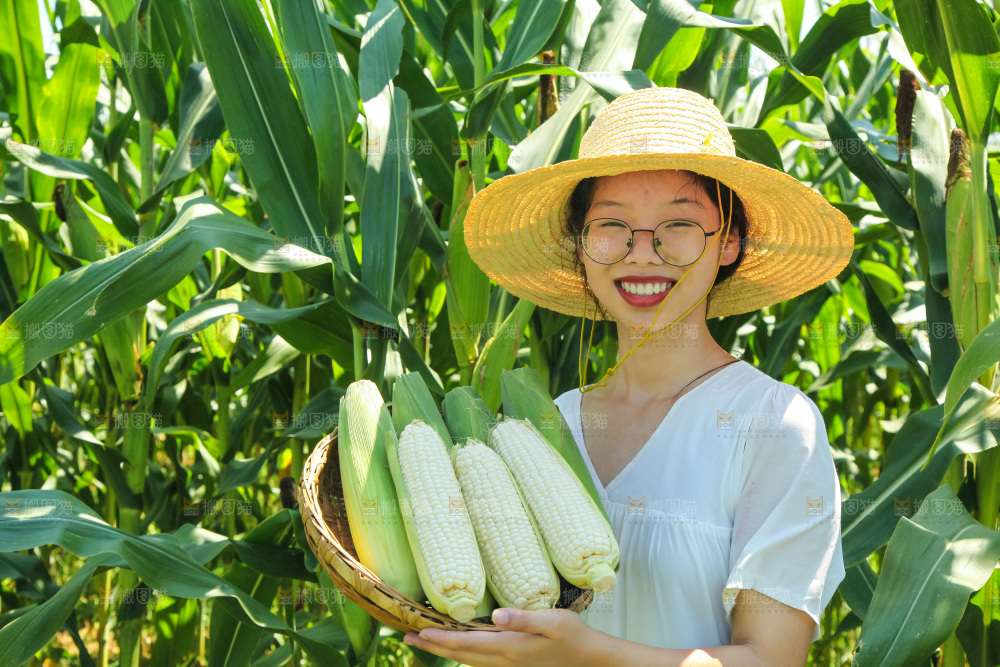 手里拿着牛奶玉米
