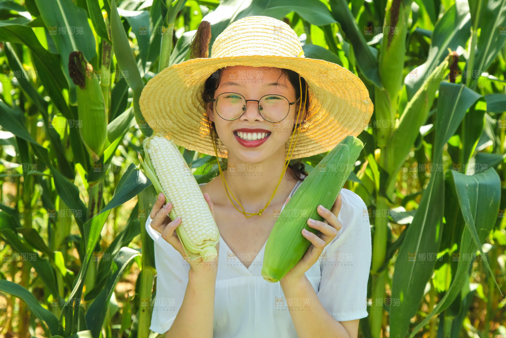 手里拿着牛奶玉米
