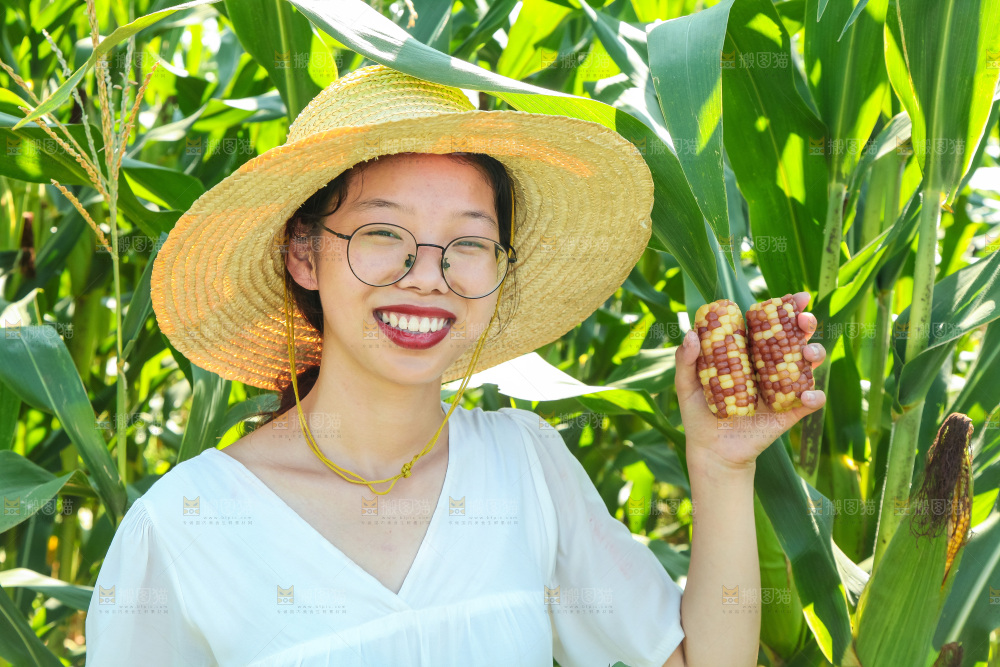 手里拿着小花糯玉米