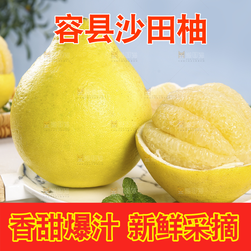 浅底上的沙田柚