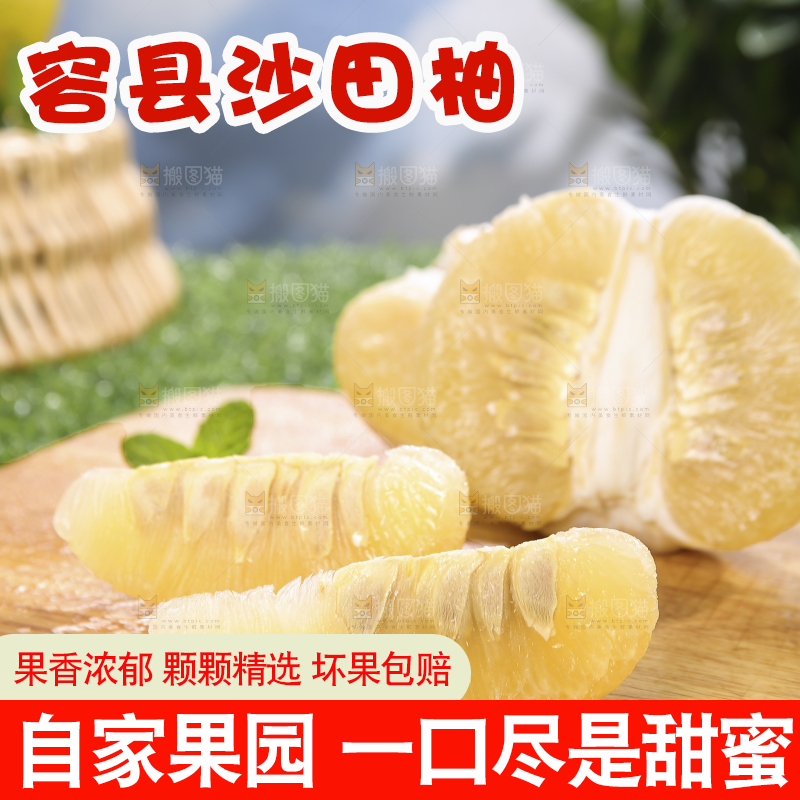 浅底上的沙田柚
