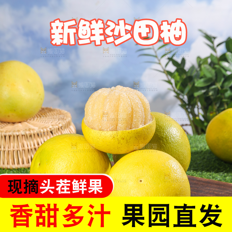 浅底上的沙田柚
