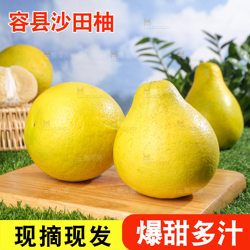 浅底上的沙田柚
