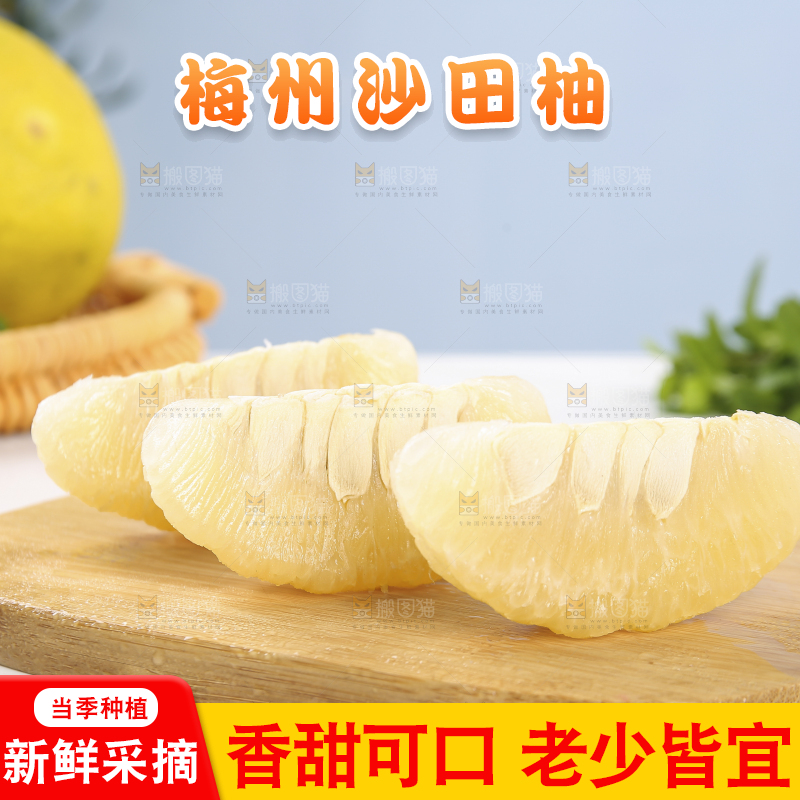 浅底上的沙田柚