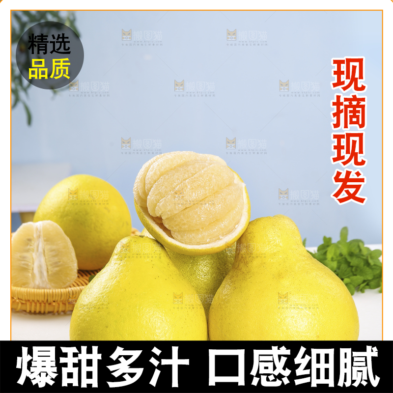 浅底上的沙田柚