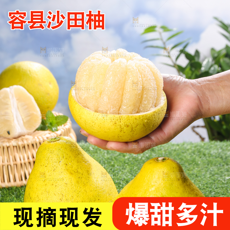 浅底上的沙田柚