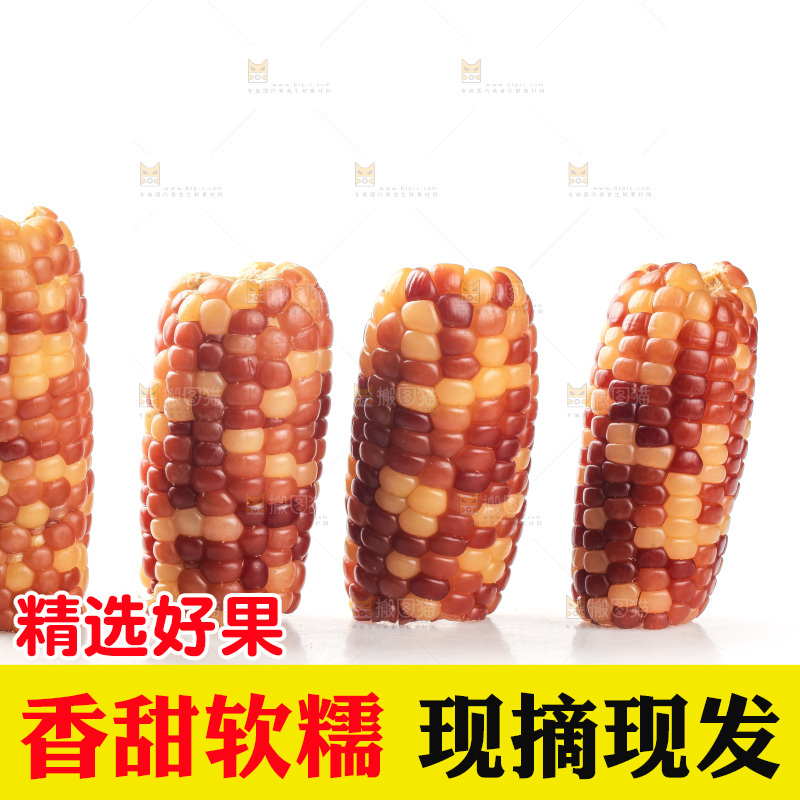 白底上的小花糯玉米