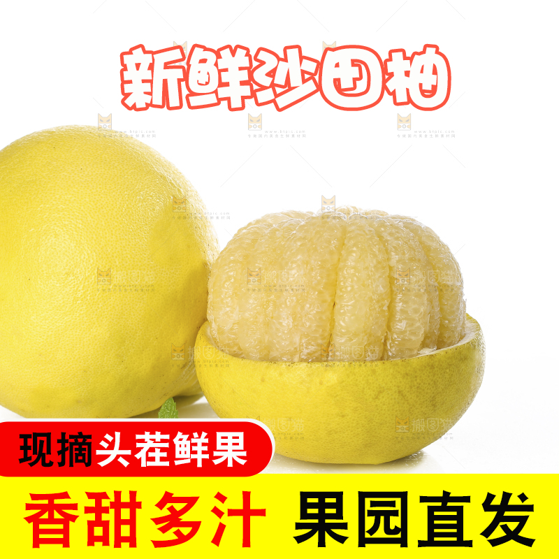 白底上的沙田柚