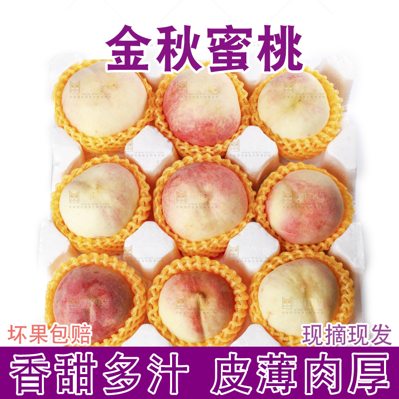 白底上的金秋红蜜桃