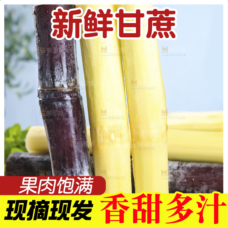 浅底上的黑皮甘蔗
