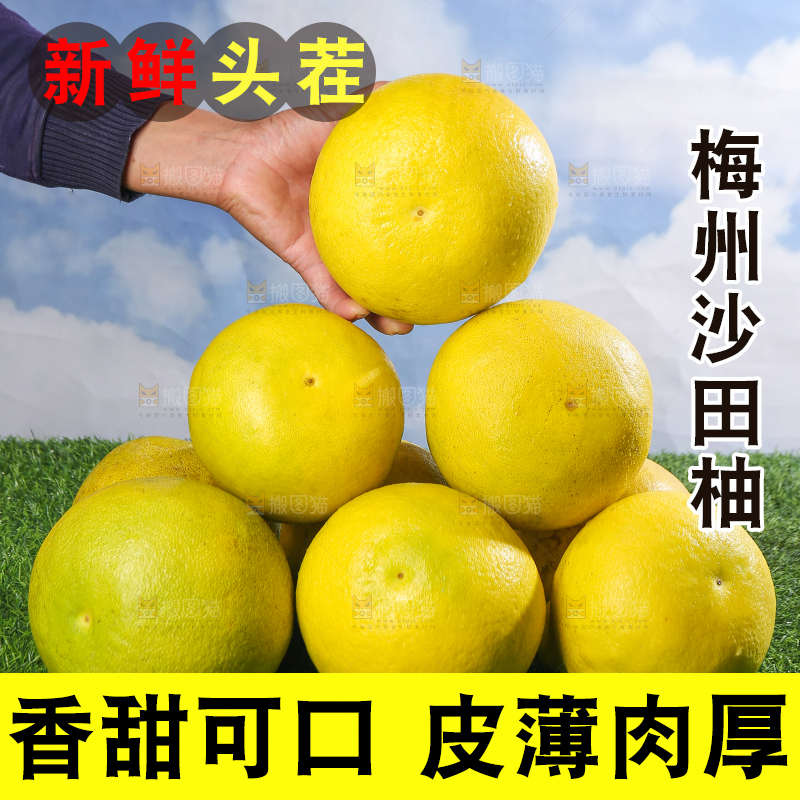 浅底上的沙田柚