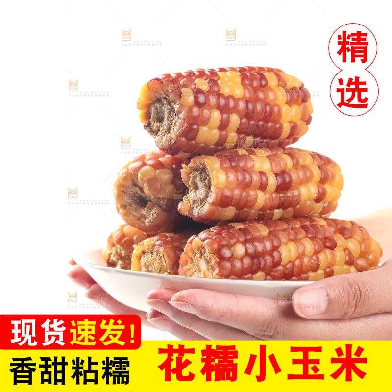 白底上的小花糯玉米